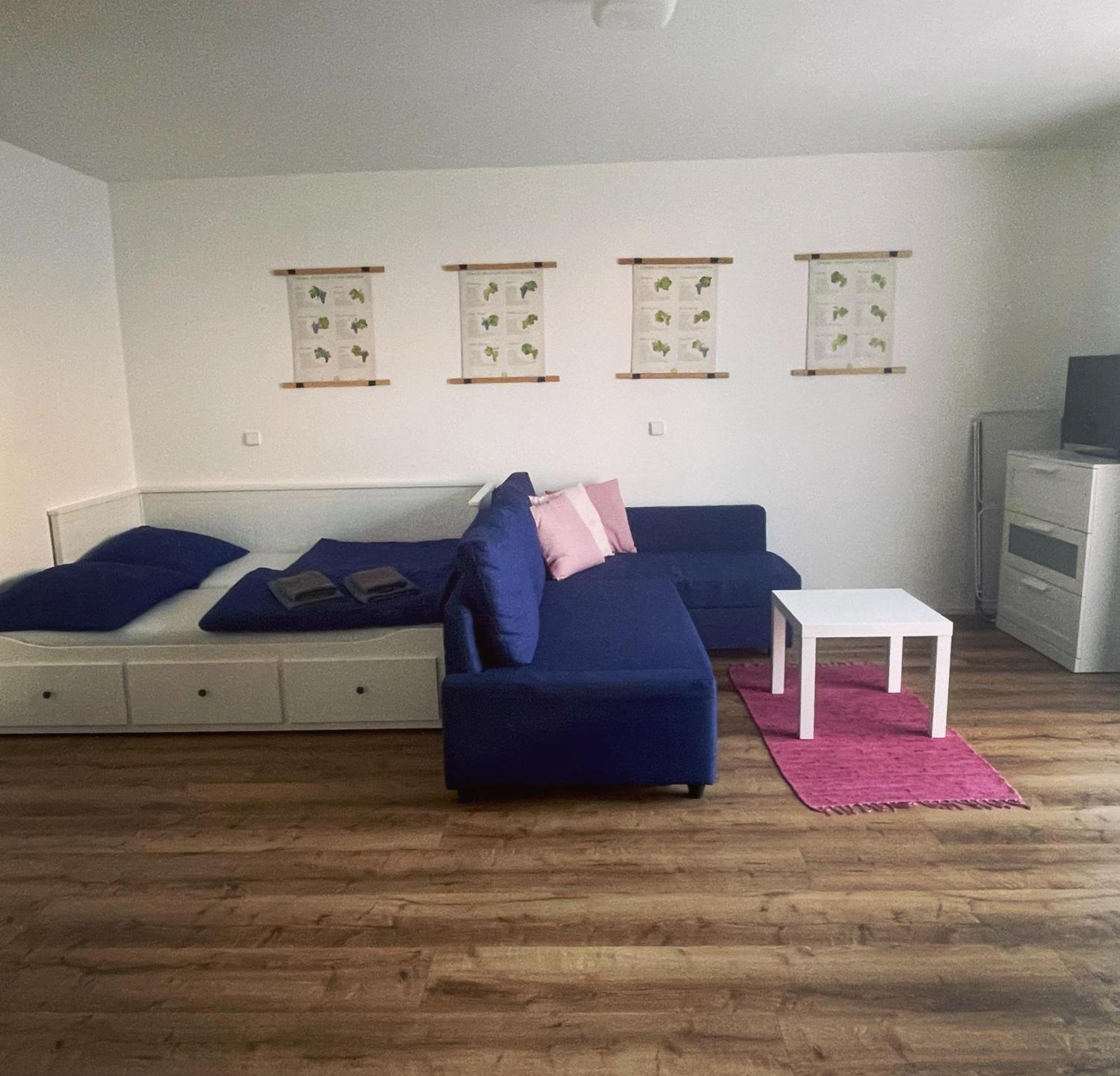 Apartment Palavske Domky *